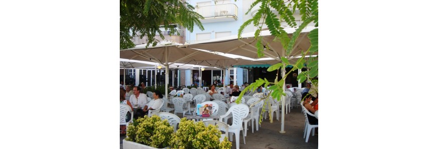 Terraza y Jardín